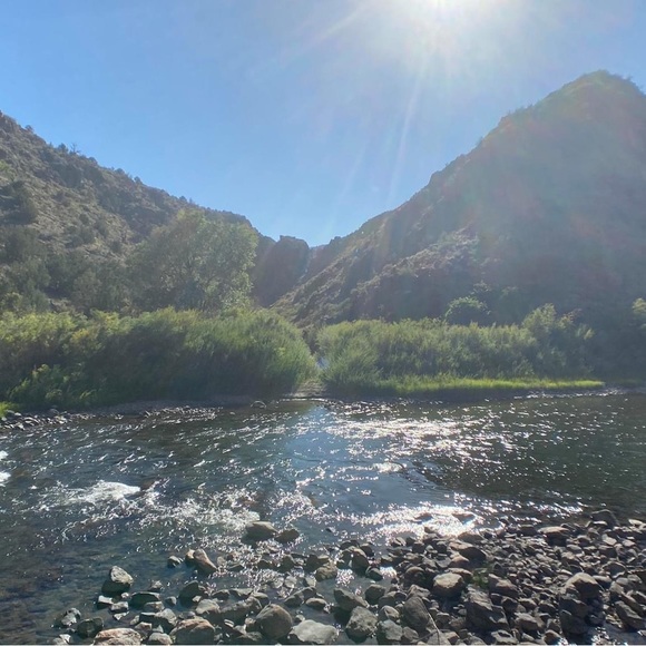 Meet your Posher, Andrea - Picture 5 of 6